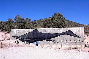 Ichthyosaur with three hors d'ouvres.