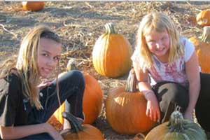 The Corley Ranch pumpkin patch The Corley Ranch pumpkin patch