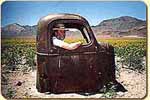 The Complete Nevada Traveler by David W. Toll The Complete Nevada Traveler by David W. Toll