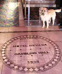 Shorty at the Hotel Nevada