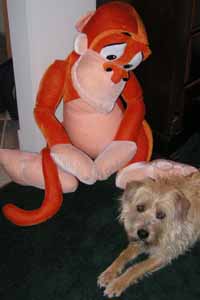 Shorty and friend