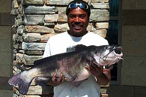The catfish are taking the bait at Wild Horse Reservoir