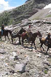 Elko area Guides & Outfitters - Horseback explorations are popular with visitors