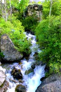 Lamoille Creek