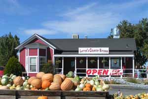 Lattin Farms photo by Max Winthrop