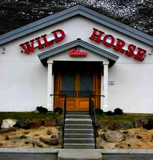 Photo courtesy Wild Horse Saloon