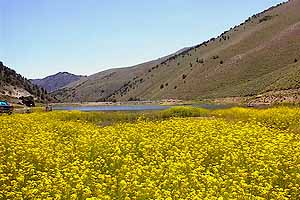 Groves Lake, in Kingston Canyon.