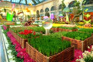 Courtesy the Bellagio
