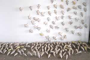 Mormon crickets are an occasional scourge of the northern part of the state, and Tuscarora has been a particular habitat for the creepy crawlers and Sculptor Elaine Parks is creating a thousand of them for on upcoming show at the Nevada Museum of Art in Reno. Photo by Max Winthrop
