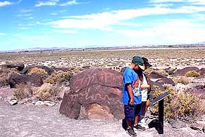 Isaac and Annabelle study human antiquity at Grimes Point.