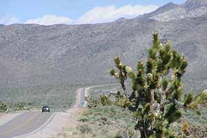 US 93, not the Loneliest Road photo by Max Winthrop