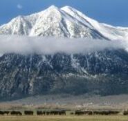 Carson Valley