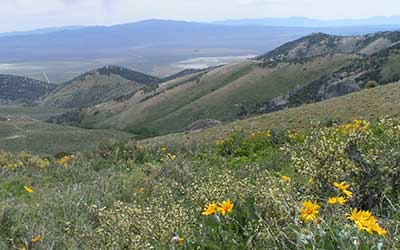 In the hills around Elko Nevada