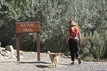 Nature Trail at Rye Patch State Recreation Area on Interstate 80 east of Lovelock Nevada