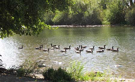 Rock Park, Sparks Nevada