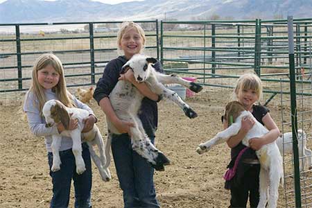 Lazy P Adventure Farm, Winnemucca Nevada