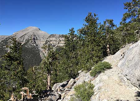 Mount Charleston Nevada