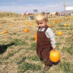 Lazy P Adventure Farm, Winnemucca Nevada