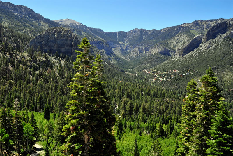 Mount Charleston in the Spring Mountains National Recreation Area