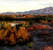 Amargosa Valley