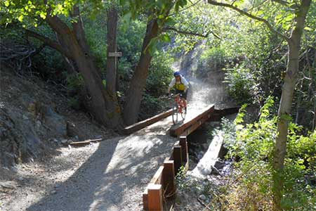 Mountain biking in Carson Valley Nevada