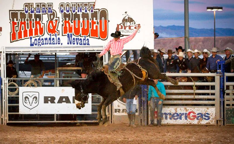 Nevada: qué ver y hacer en uno de los destinos más visitados de Estados Unidos Resultado de imagen para nevada rodeos