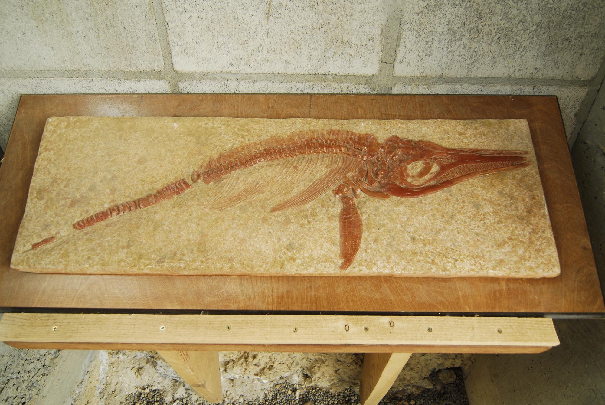 Berlin-Ichthyosaur State Park