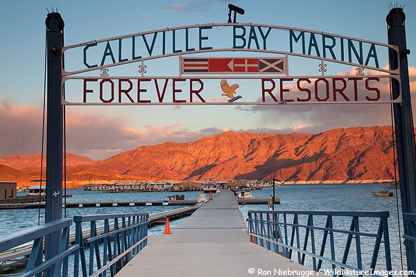 Callville Bay Resort & Marina