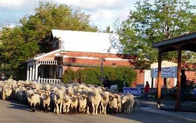 Downtown Dayton Nevada
