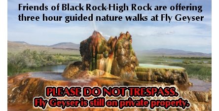 FlyGeyser