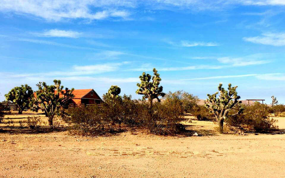 Walking Box Ranch