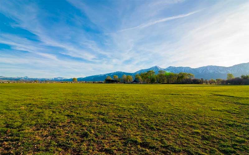 Green Meadow in Carson Valley