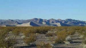 Beatty Dunes Nevada